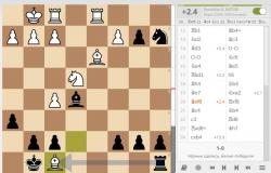 Самые красивые и необычные шахматные партии в истории Разбор шахматной партии на компьютере